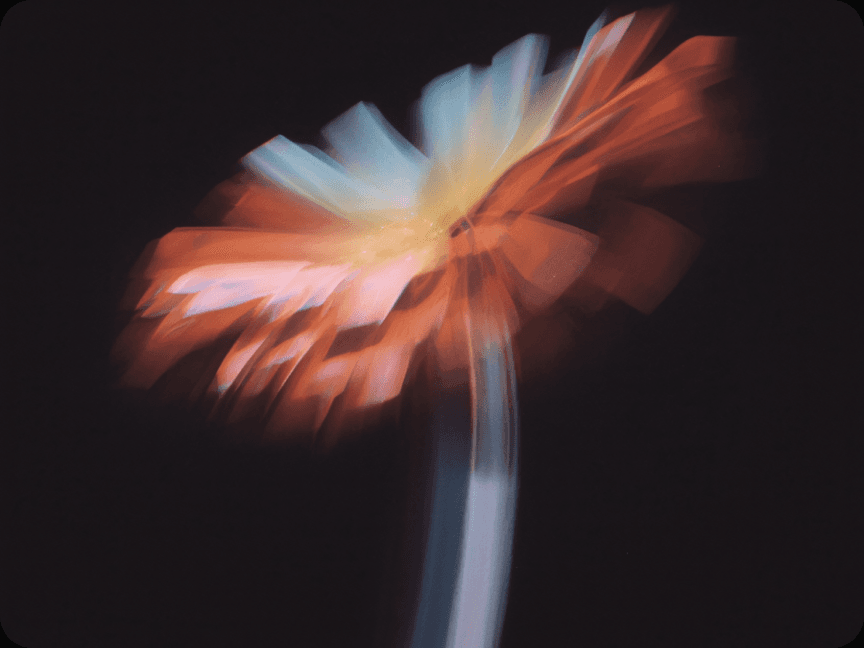 Flor colorida em movimento desfocado sobre fundo escuro.